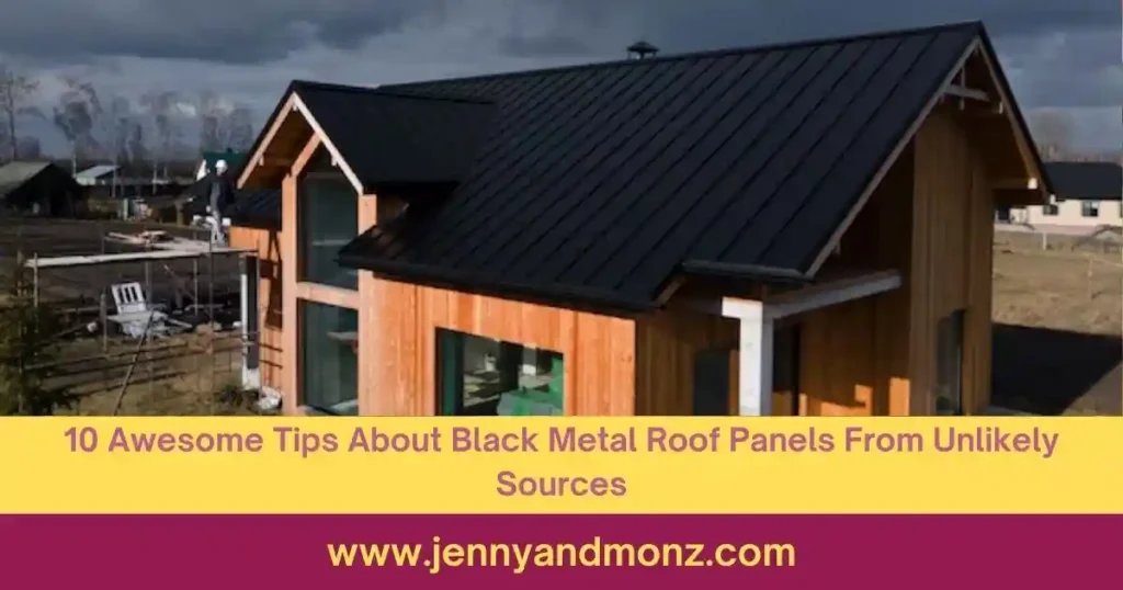 Black metal roof panels Featured Image
