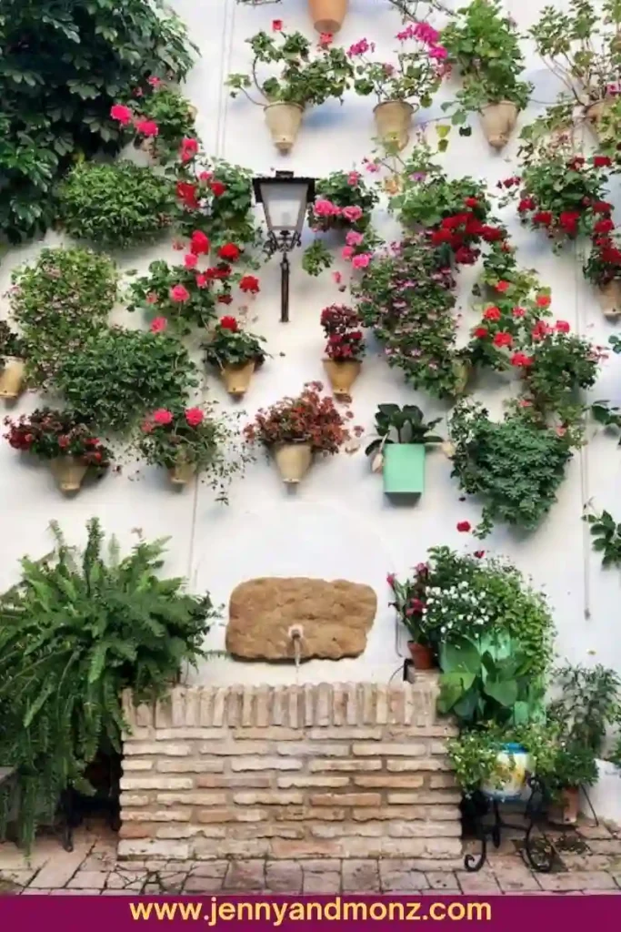 Patio wall decorated with flower pots