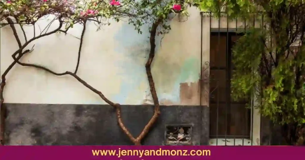 Exterior wall decorated in Mexican style