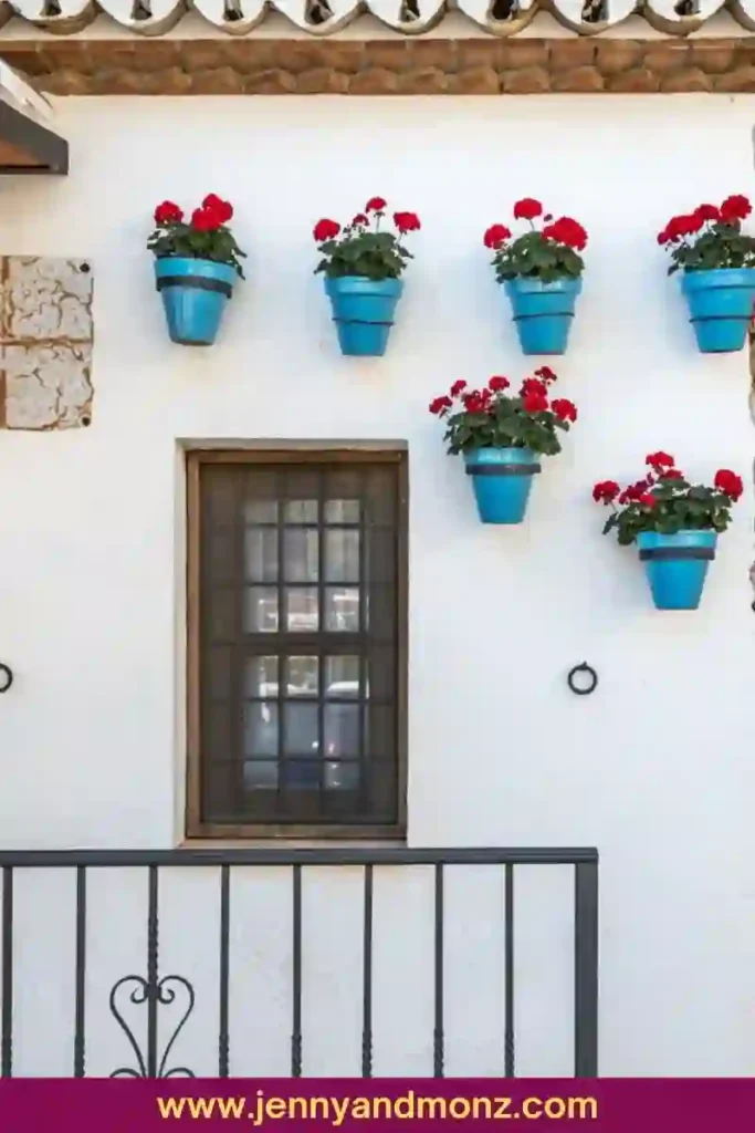 Exterior wall decorated with blue pots and Red Geraniums