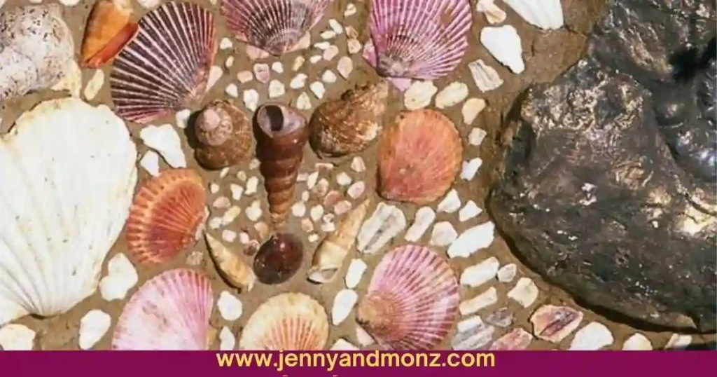 Outdoor wall decorated with shells