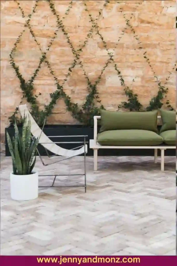 Outdoor wall decorated with trailing plants and platform couch